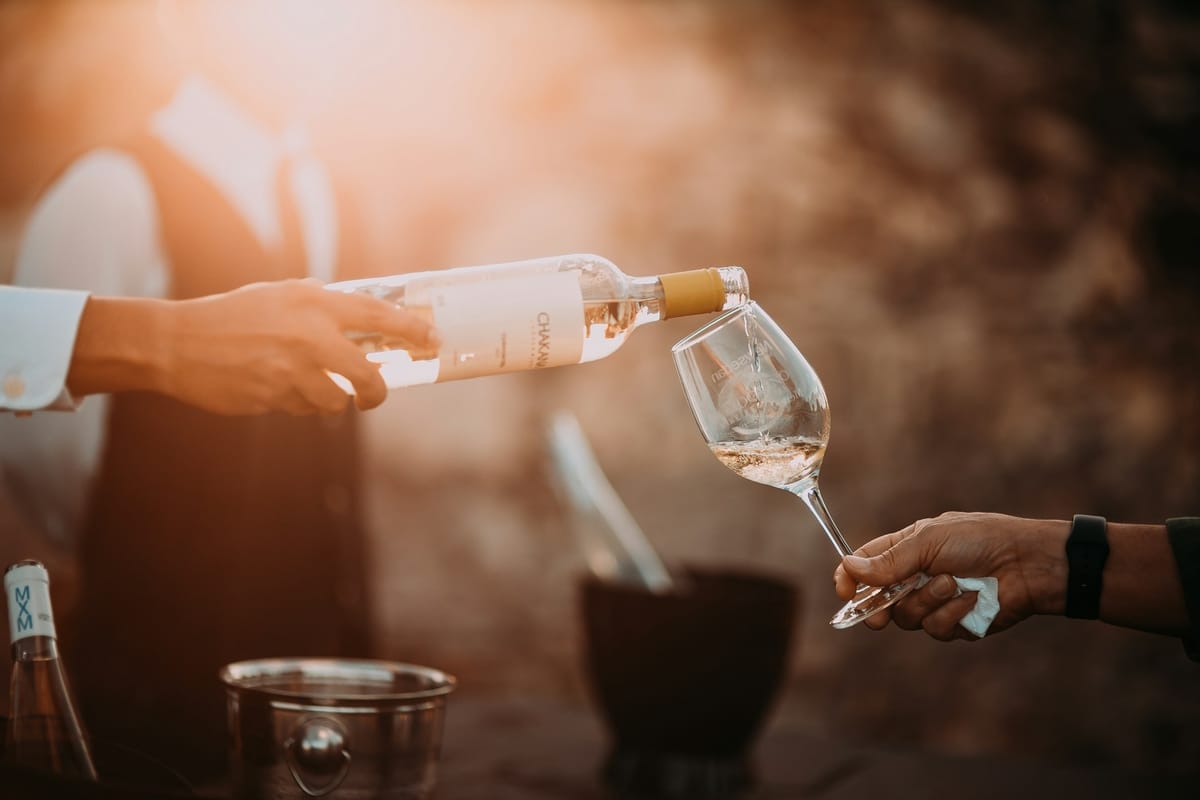 Venice Wine Bar experience: the guide!
